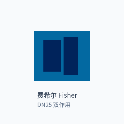 费希尔 Fisher 气动球阀 DN25 双作用