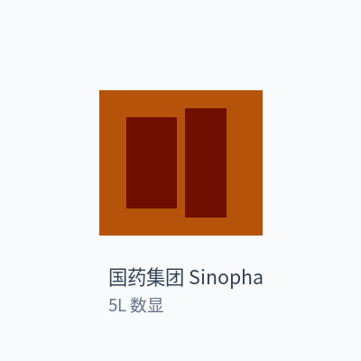 国药集团 Sinopharm 磁力搅拌器 5L 数显